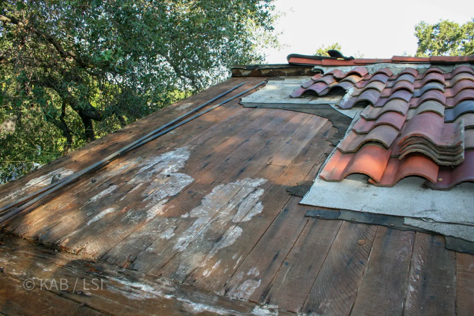 Original board sheathing exposed beneath removed clay roof tile on a 1920s carriage house