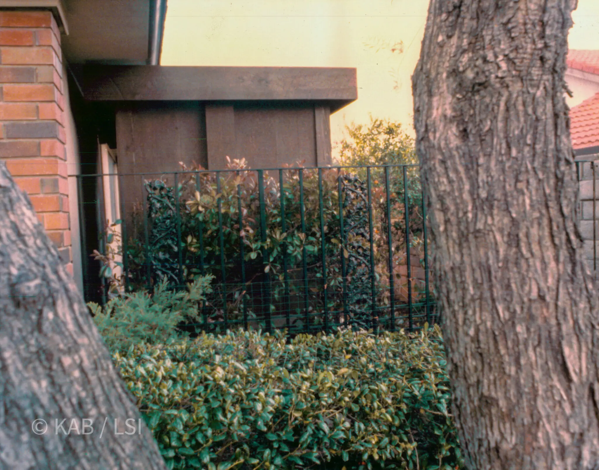 The Plastic Surgeon's Cellar — From the Street