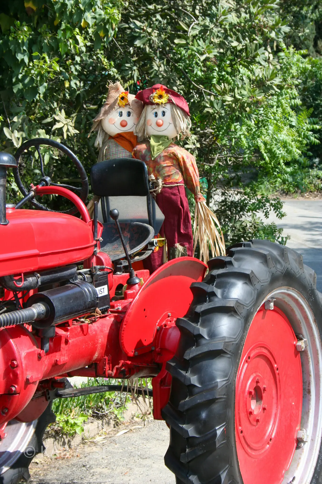 Two handmade ragdoll scarecrows perched on a vintage red tractor along a roadway in La Habra Heights