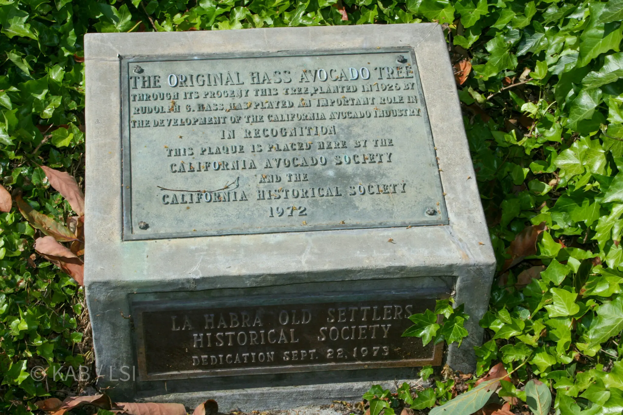 Bronze and stone historical plaques marking the original Hass avocado mother tree at 426 West Road in La Habra Heights, planted by Rudolph Hass in 1926