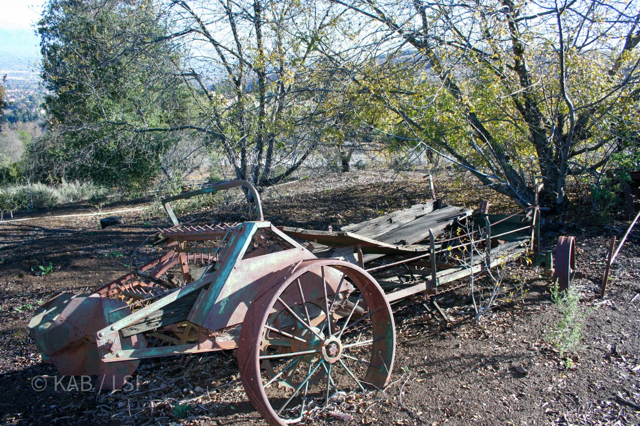 Antique farm equipment rusting on a La Habra Heights hillside, the wooden frame and metal wheels visible against the dry ground