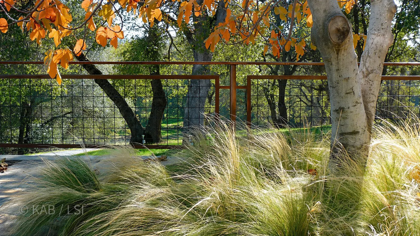 A welded-wire fence on a low retaining wall, framed by autumn-tinted leaves and tall grasses — La Habra Heights