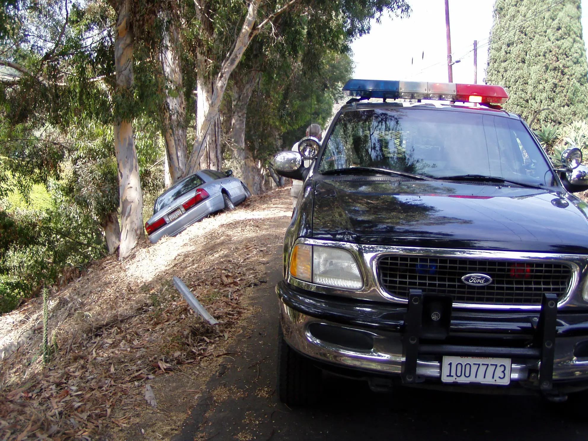 A silver sedan slid off a winding La Habra Heights hillside road into eucalyptus trees, with a Los Angeles County Sheriff Ford Expedition responding
