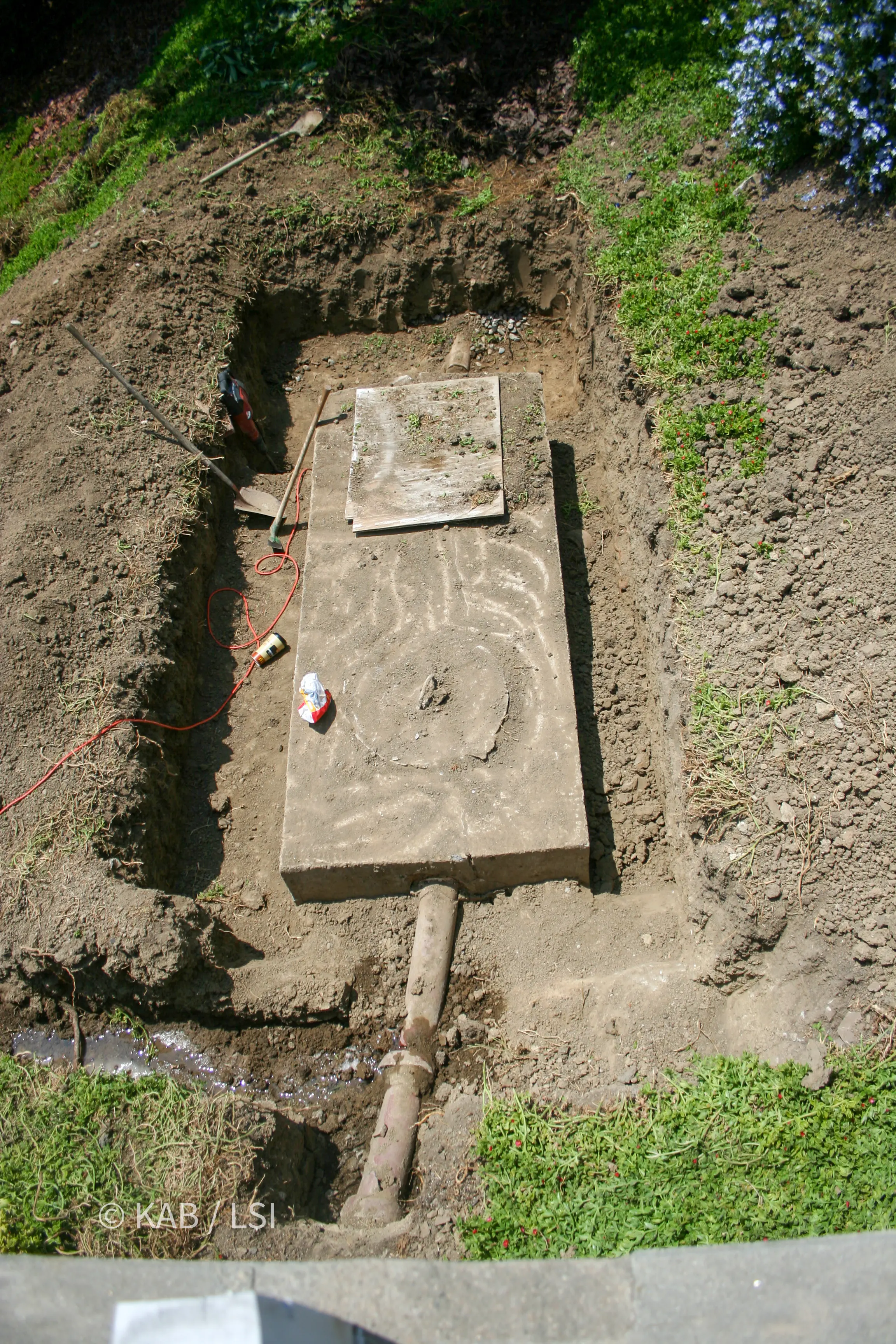 Excavated pit revealing a 1940s concrete septic tank with vegetation and a scrap of plywood over the opening