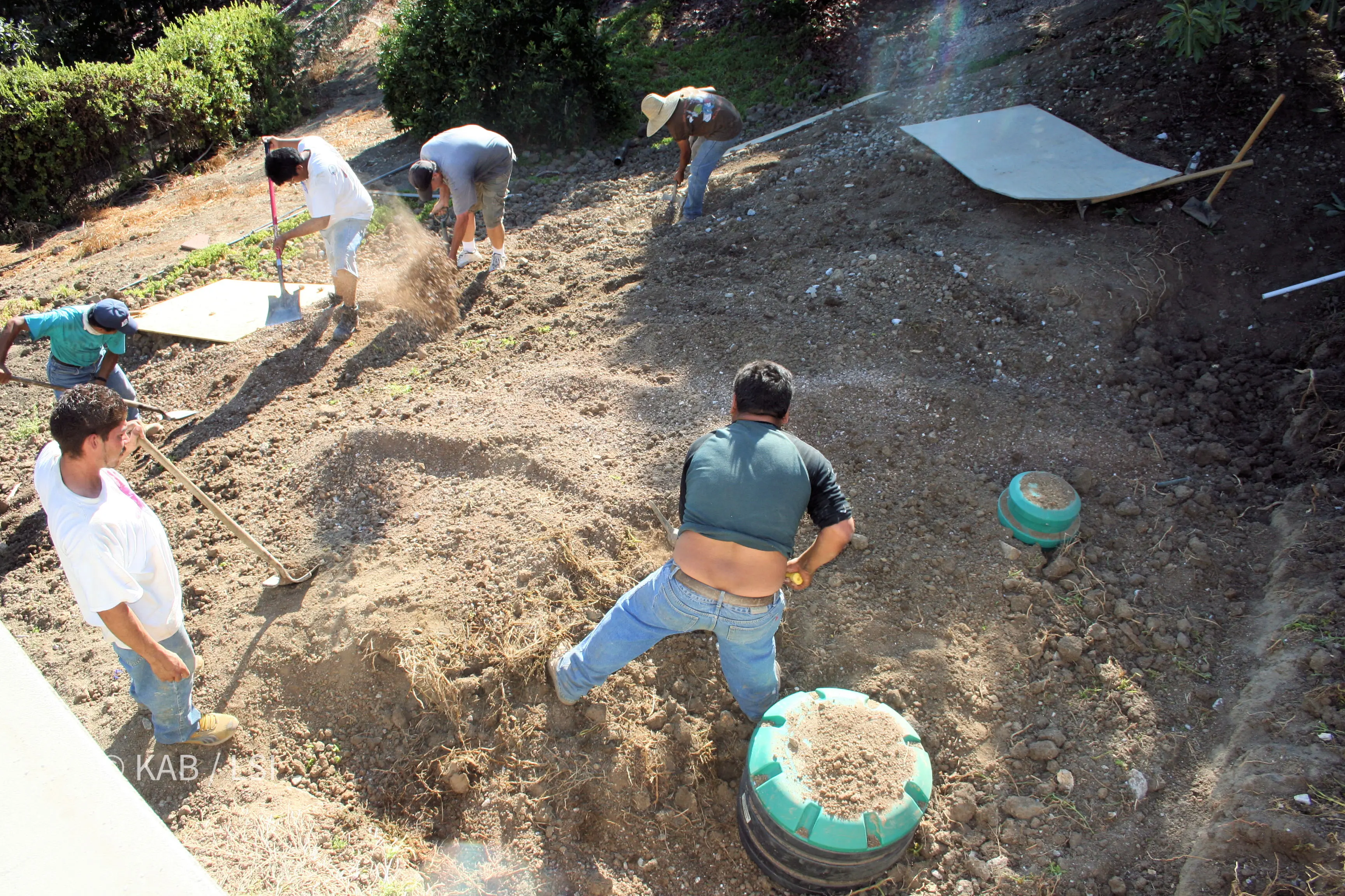 Backfilled septic tank installation with risers at grade and the yard restored