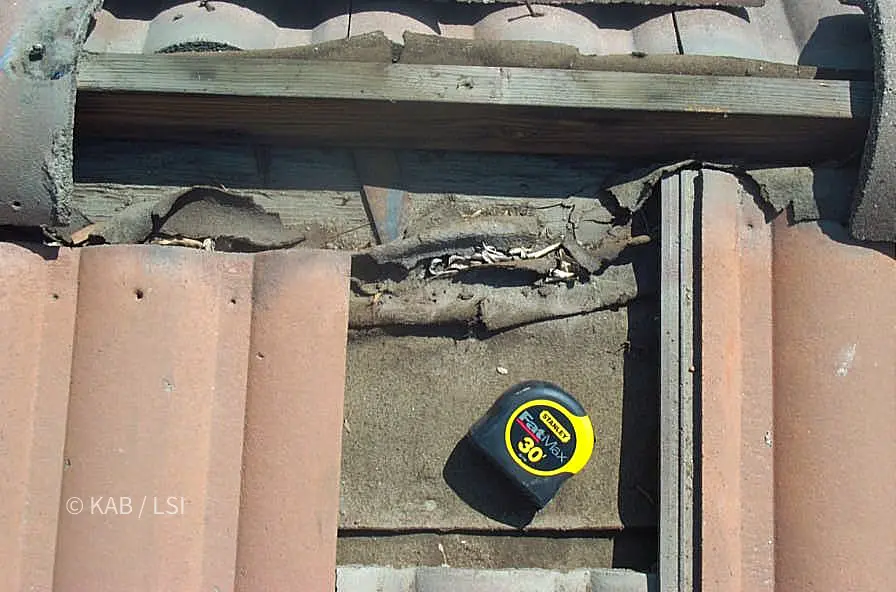 Close-up of rotted plywood sheathing and failed underlayment exposed beneath broken concrete roof tile