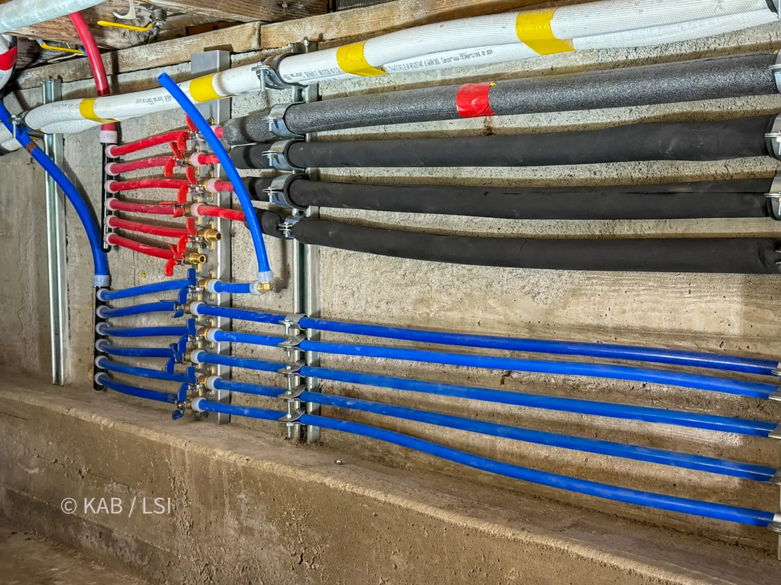 PEX home-run manifold with red and blue supply lines mounted on a crawlspace foundation wall, each fixture on its own valved run
