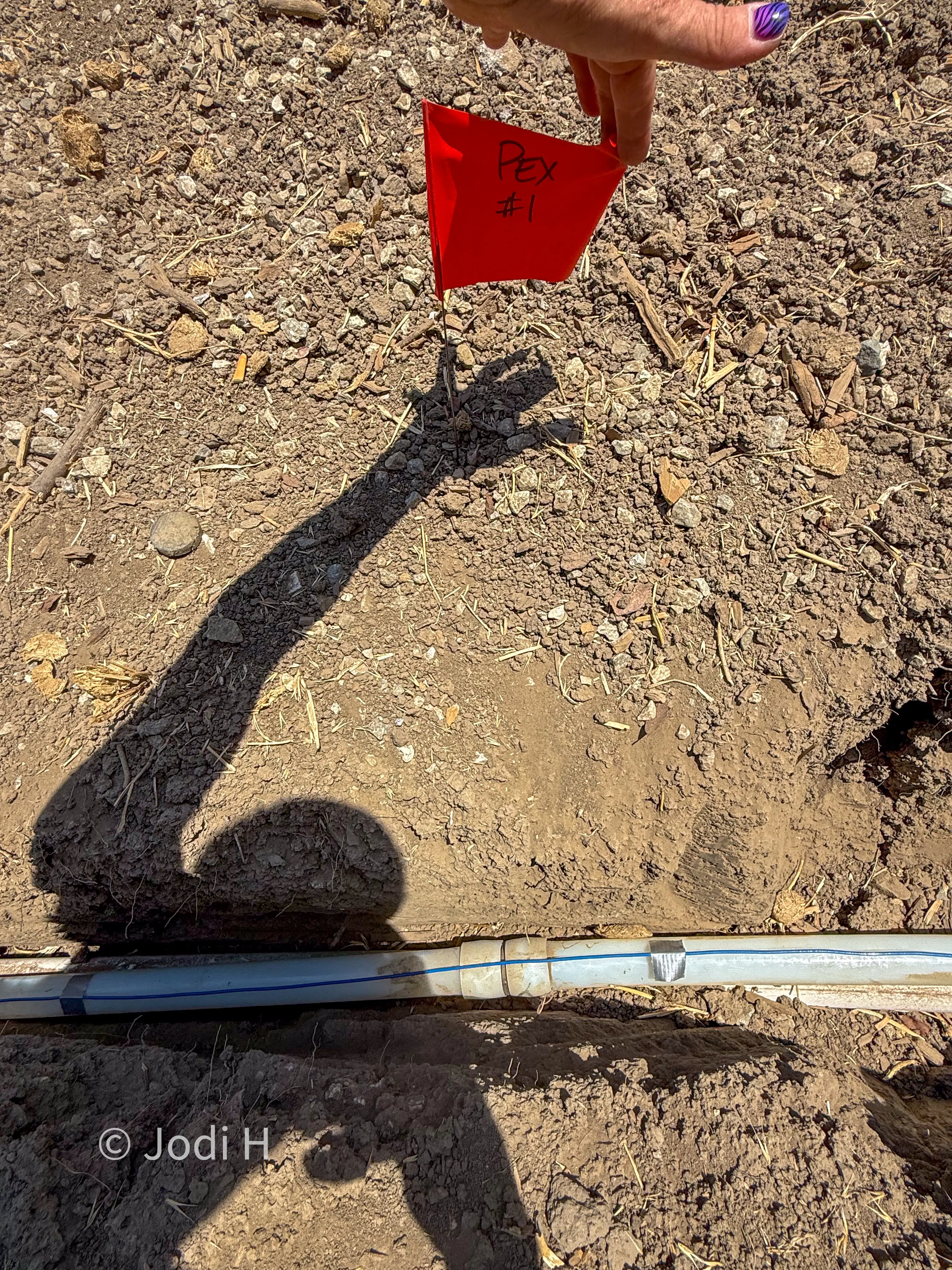 Red survey flag labeled PEX joint number one marking a connection point on a buried water service line