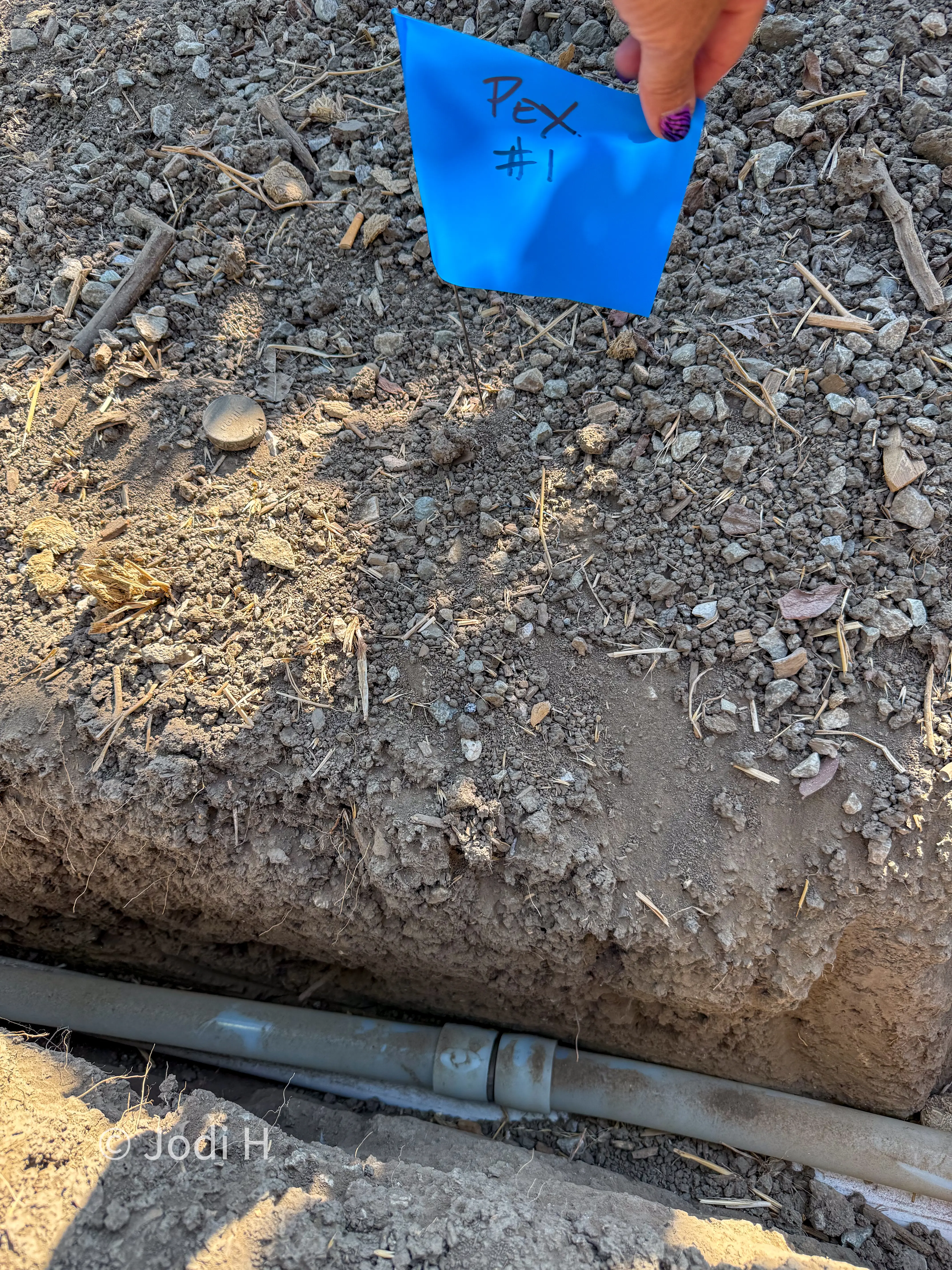 Blue underground utility warning tape laid over a partly backfilled water line trench