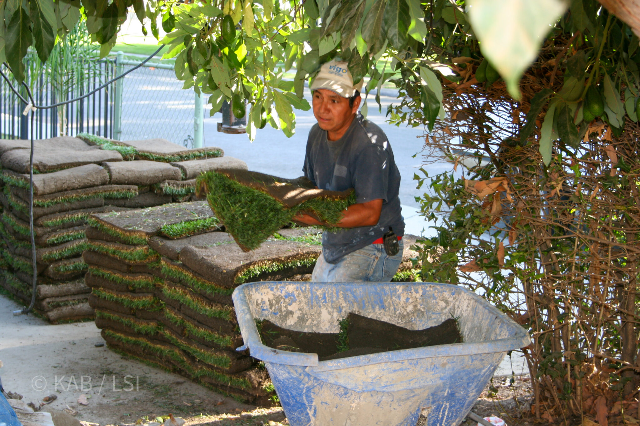Landscaping and field work