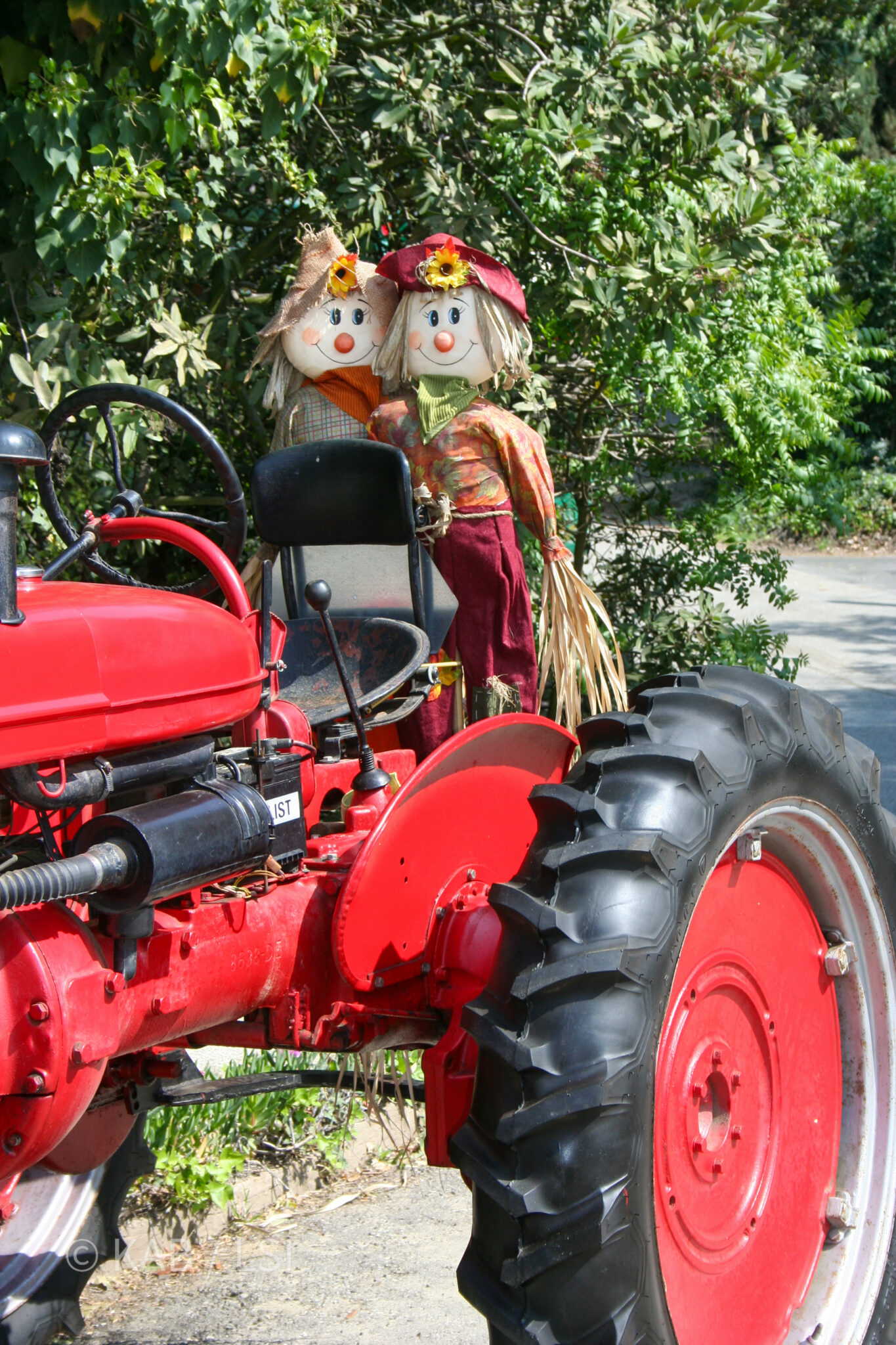 Red tractor with scarecrows — La Habra Heights character