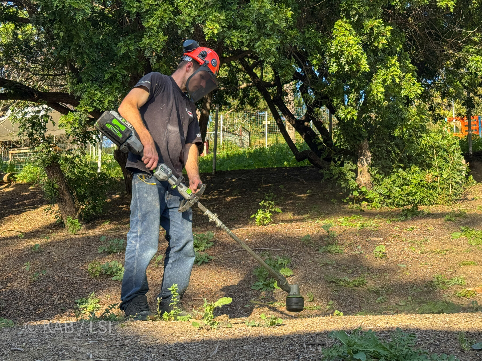 Professional brush clearance with full safety gear — EGO battery powered trimmer, La Habra Heights
