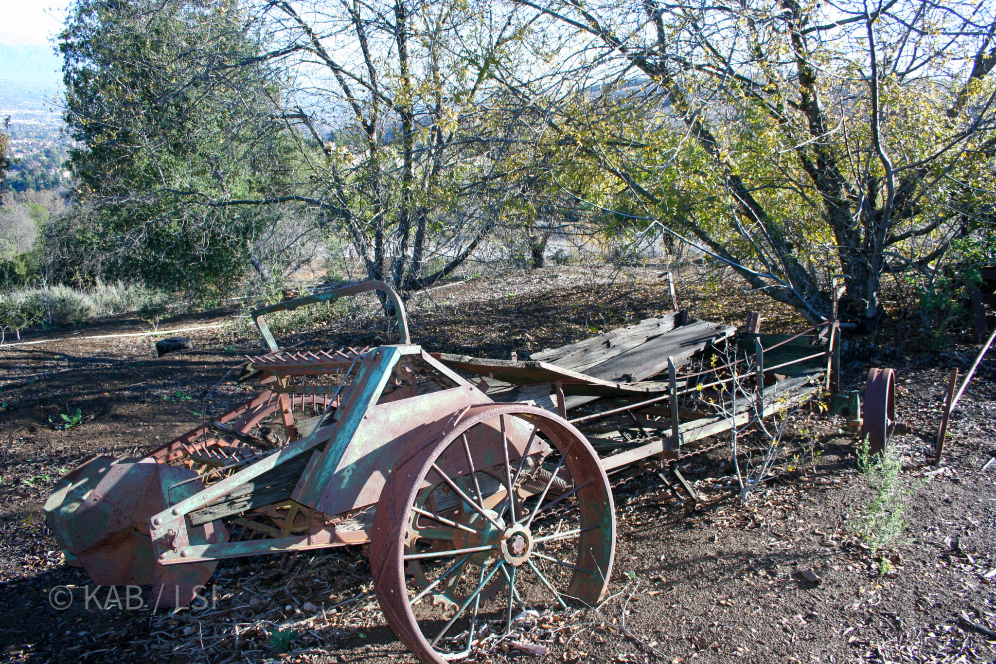 Antique farm equipment rusting on La Habra Heights hillside