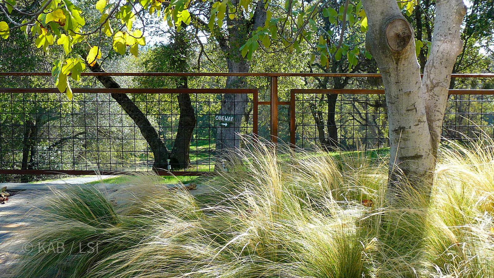 Cor-Ten steel welded wire fence with native grasses — La Habra Heights © KAB/LSI